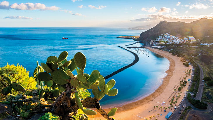 A view over a beach in Tenerife, Canary Islands